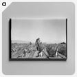 2-73_Dorothea-Lange_canvas