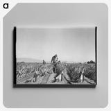 2-73_Dorothea-Lange_canvas