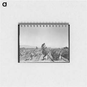 アートメモ帳-Desert agriculture - ドロテア ラング Memo.