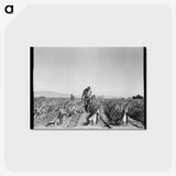 2-73_Dorothea-Lange_postcard