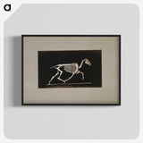 2-73_Eadweard-Muybridge_blk-crop