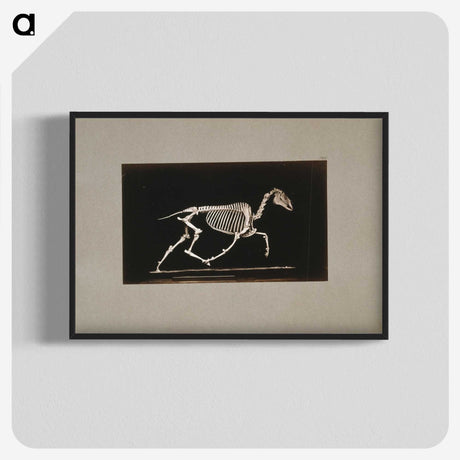 2-73_Eadweard-Muybridge_blk-crop