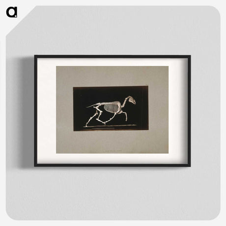 2-73_Eadweard-Muybridge_blk