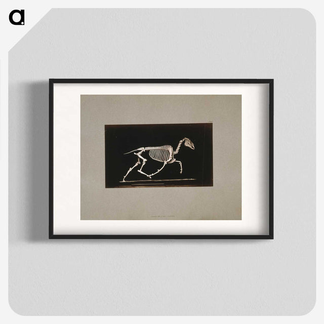 2-73_Eadweard-Muybridge_blk