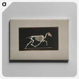 2-73_Eadweard-Muybridge_canvas