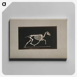 2-73_Eadweard-Muybridge_canvas