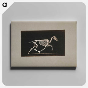 2-73_Eadweard-Muybridge_canvas