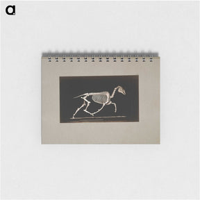 2-73_Eadweard-Muybridge_memo