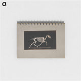 アートメモ帳-Trotting Horse Skeleton
 - エドワード マイブリッジ Memo.