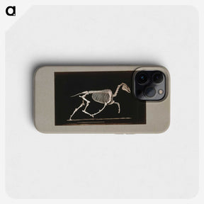 2-73_Eadweard-Muybridge_phone
