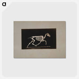 アートポストカード-Trotting Horse Skeleton
 - エドワード マイブリッジ Postcard.