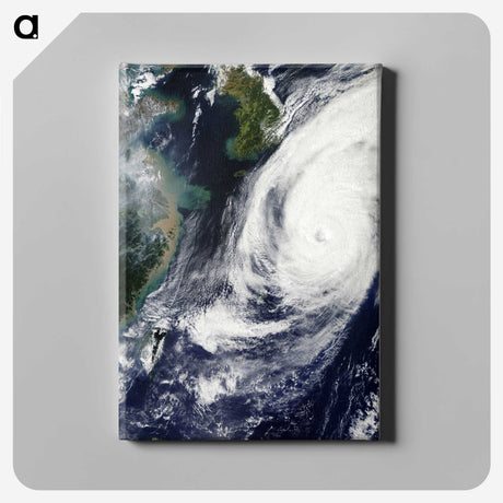 2-73_Earth-from-Above_canvas
