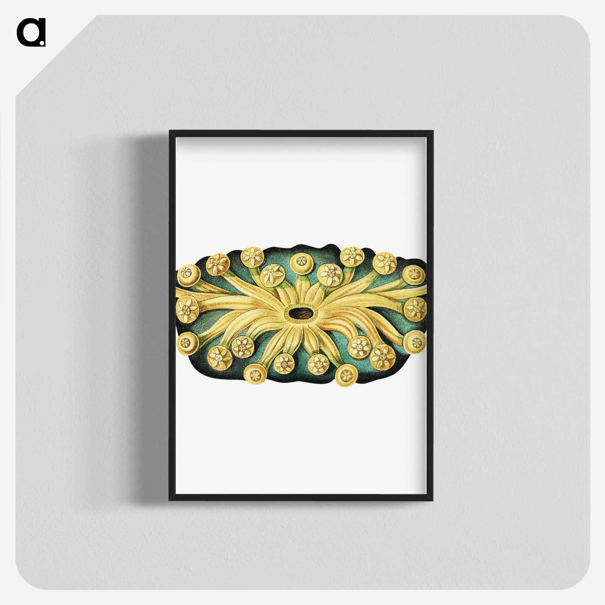 2-73_Ernst-Haeckel_blk-crop