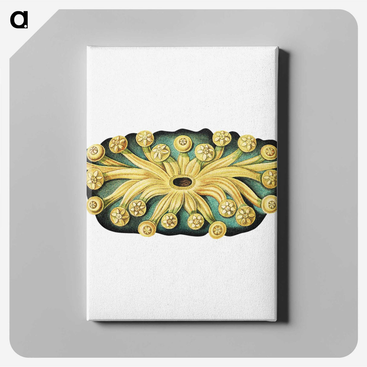 2-73_Ernst-Haeckel_canvas