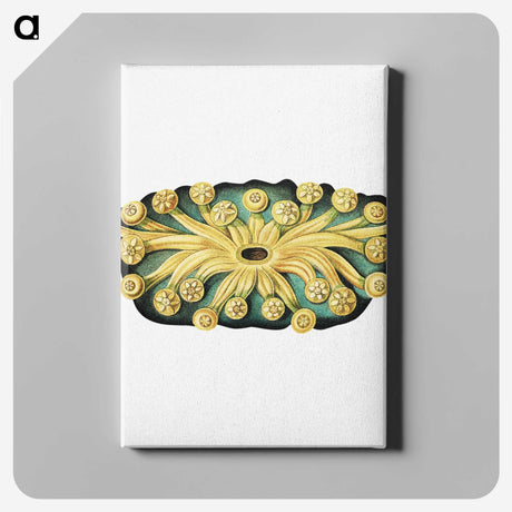 2-73_Ernst-Haeckel_canvas