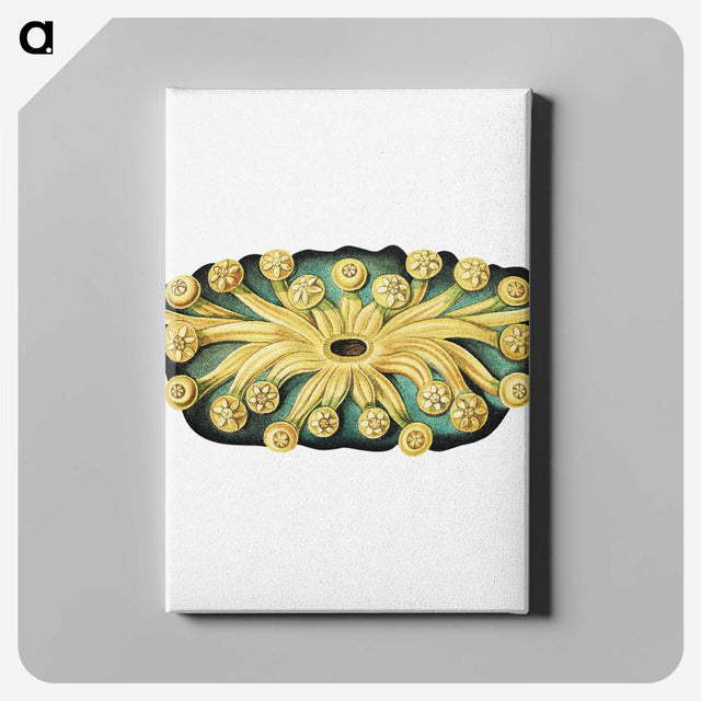 2-73_Ernst-Haeckel_canvas
