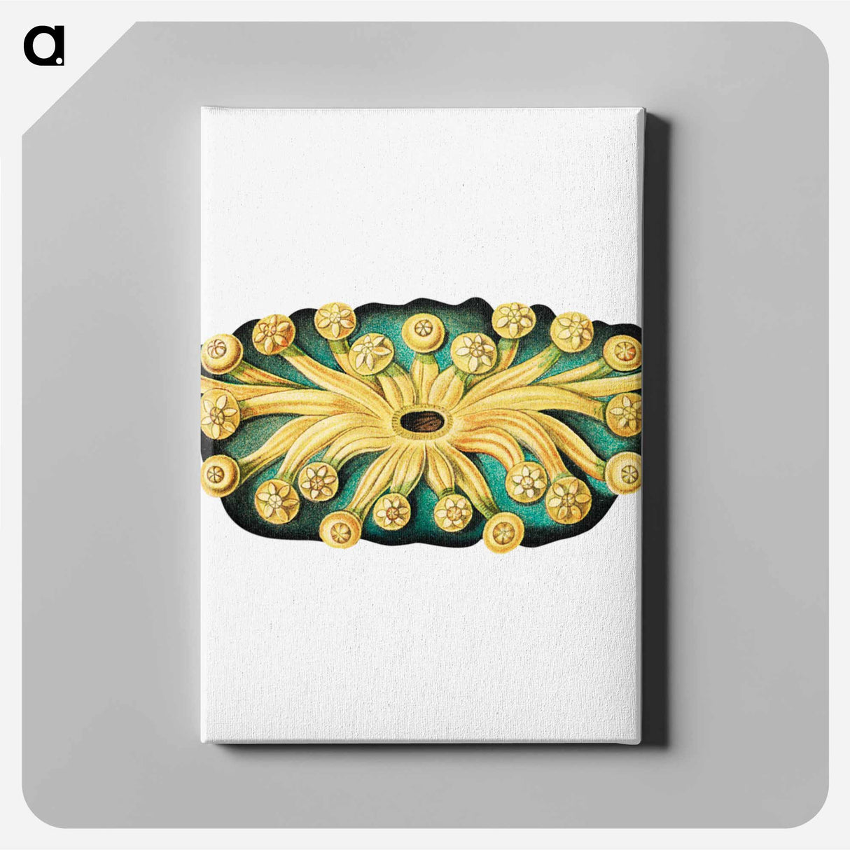 Colorful vintage tunicate illustration - エルンスト ヘッケル Canvas.