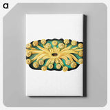 Colorful vintage tunicate illustration - エルンスト ヘッケル Canvas.