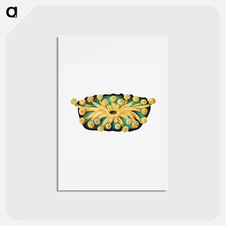 アートポストカード-Colorful vintage tunicate illustration - エルンスト ヘッケル Postcard.