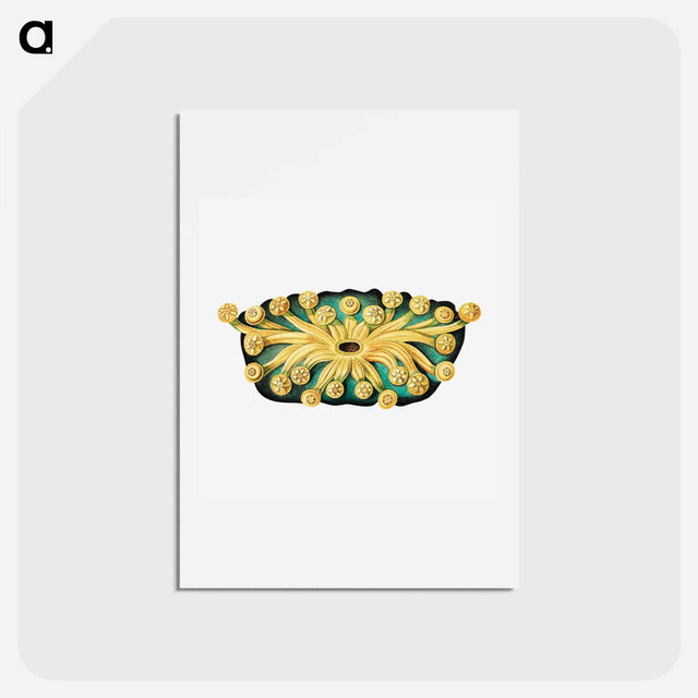 アートポストカード-Colorful vintage tunicate illustration - エルンスト ヘッケル Postcard.