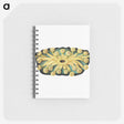 2-73_Ernst-Haeckel_memo