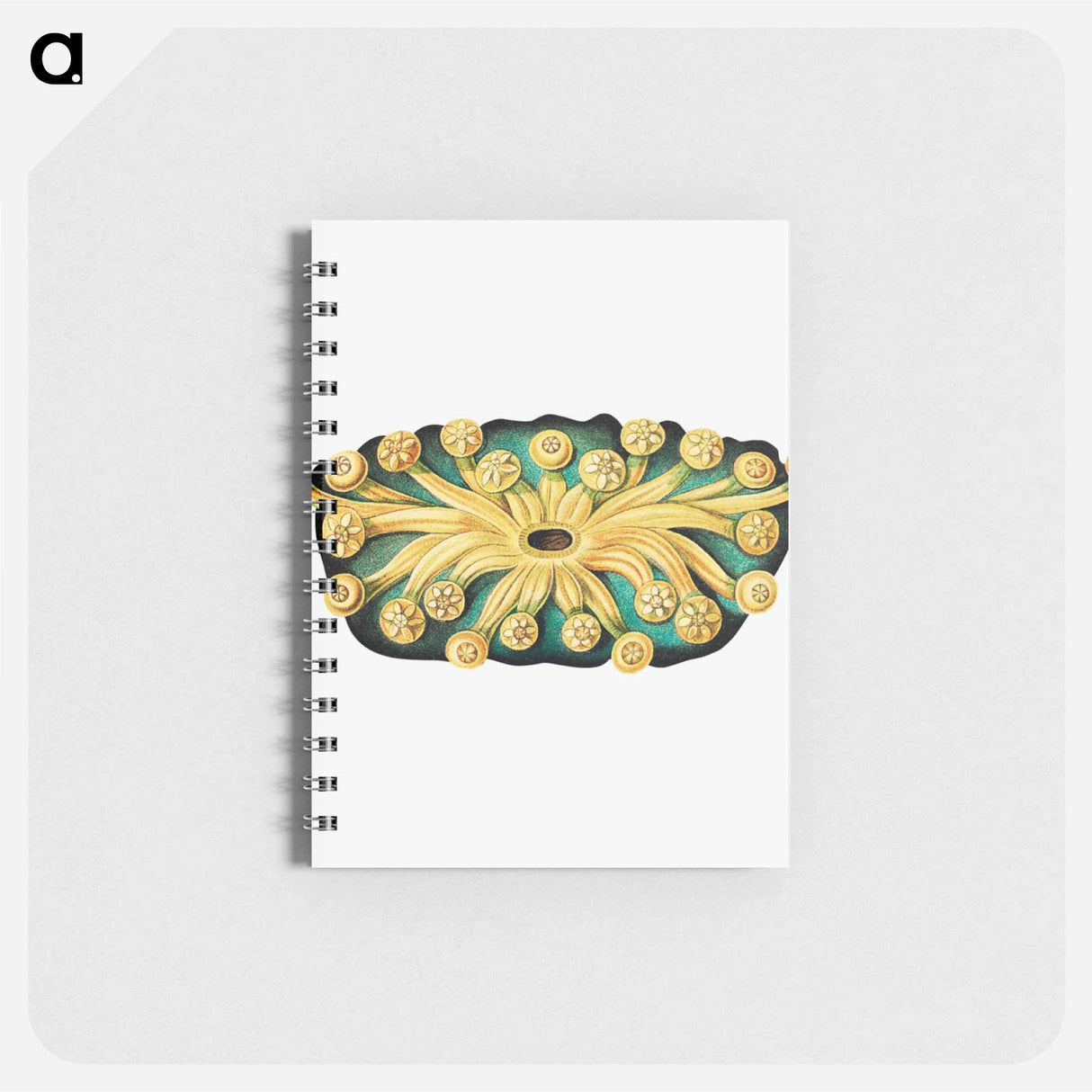 アートメモ帳-Colorful vintage tunicate illustration - エルンスト ヘッケル Memo.