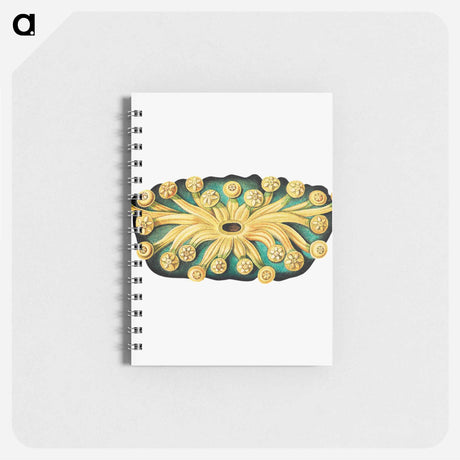 アートメモ帳-Colorful vintage tunicate illustration - エルンスト ヘッケル Memo.