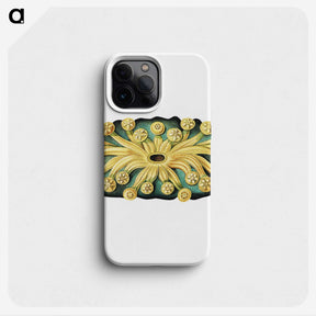 2-73_Ernst-Haeckel_phone