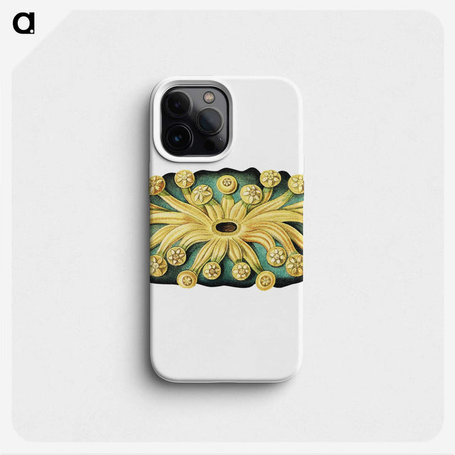 2-73_Ernst-Haeckel_phone