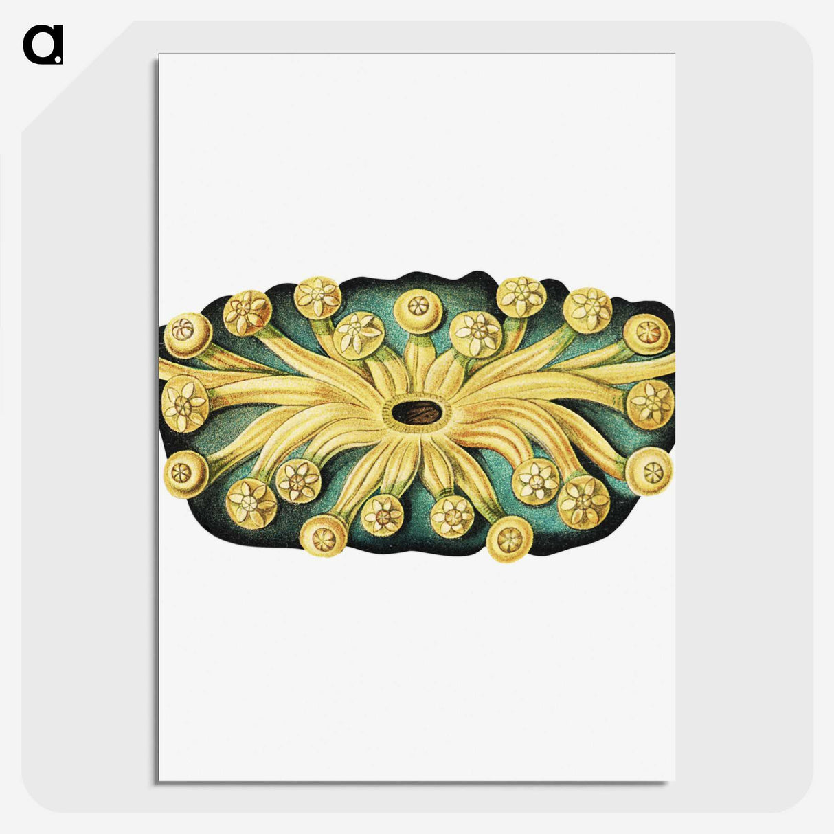 2-73_Ernst-Haeckel_picture-crop