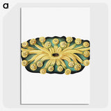 2-73_Ernst-Haeckel_picture-crop