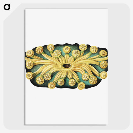 2-73_Ernst-Haeckel_picture-crop