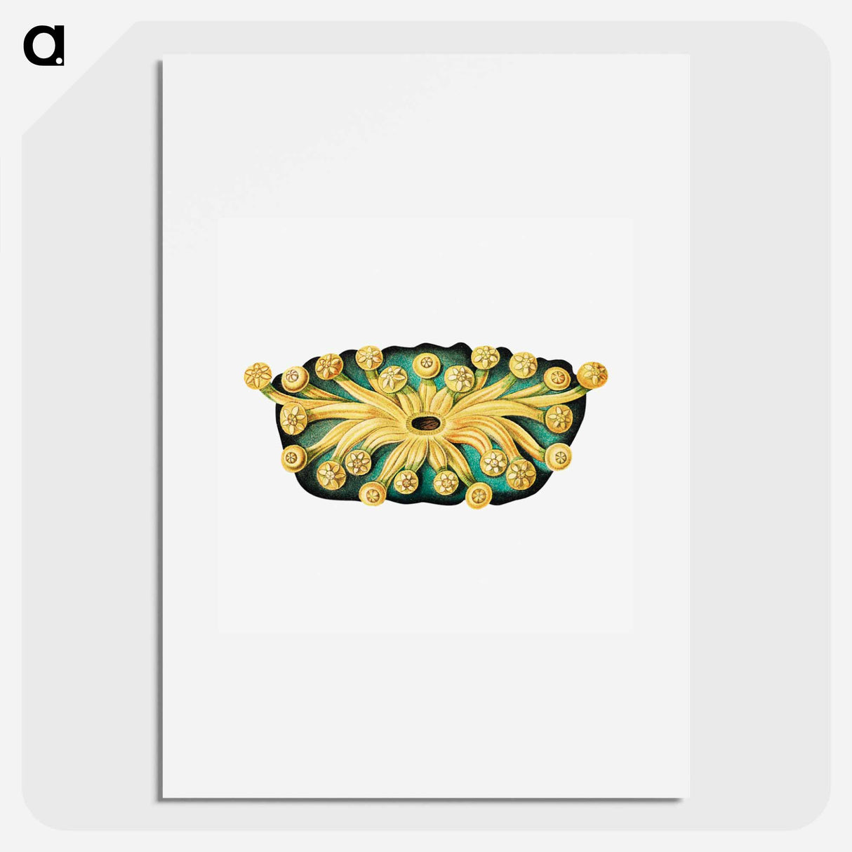 Colorful vintage tunicate illustration - エルンスト ヘッケル Poster.
