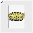 2-73_Ernst-Haeckel_postcard