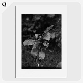 2-73_Frederick-Charles-Brockett_picture