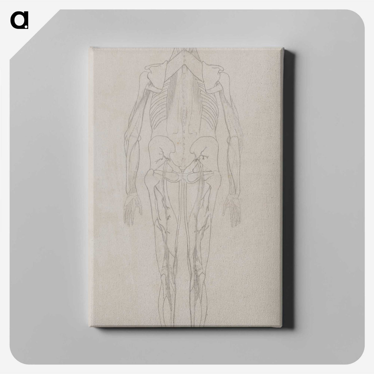2-73_George-Stubbs_canvas