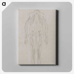 2-73_George-Stubbs_canvas