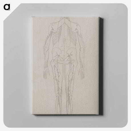2-73_George-Stubbs_canvas