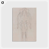 アートポストカード-Human Figure, Posterior View
 - ジョージ スタッブス Postcard.