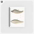 2-73_Indian-Zoology_memo