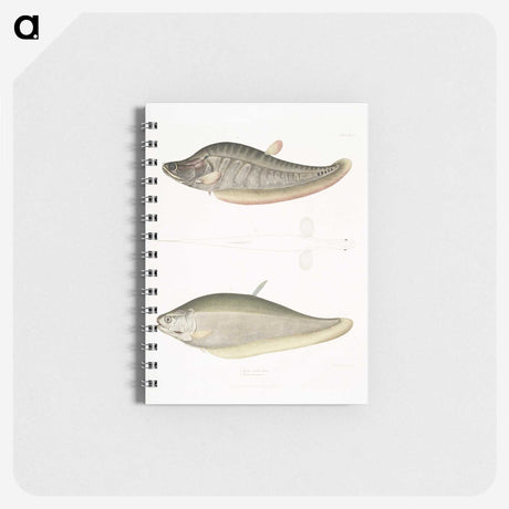 2-73_Indian-Zoology_memo