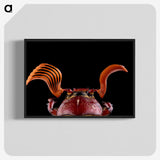 2-73_Insects-Unlocked-Project_blk-crop