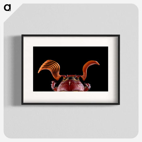 2-73_Insects-Unlocked-Project_blk