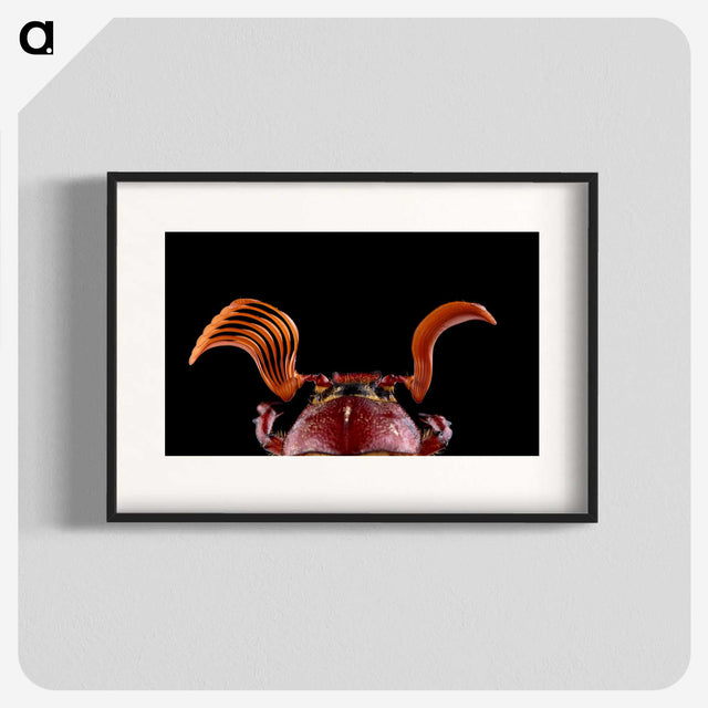 2-73_Insects-Unlocked-Project_blk