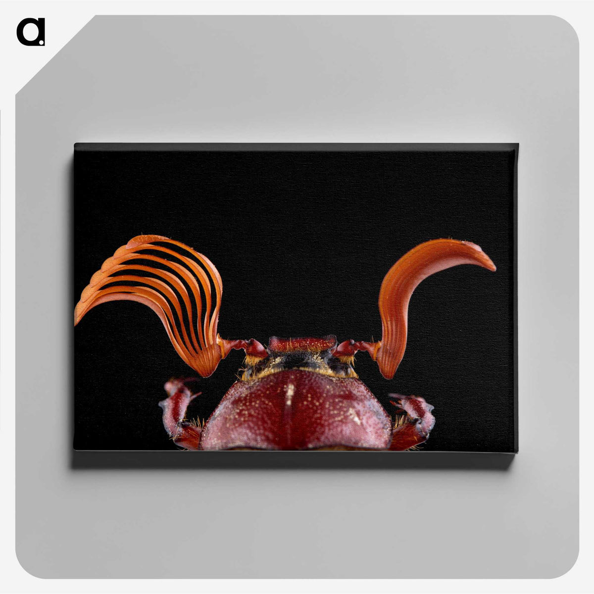 2-73_Insects-Unlocked-Project_canvas