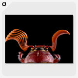2-73_Insects-Unlocked-Project_picture-crop