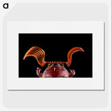 2-73_Insects-Unlocked-Project_picture