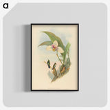 2-73_John-Gould_blk-crop