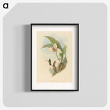 2-73_John-Gould_blk