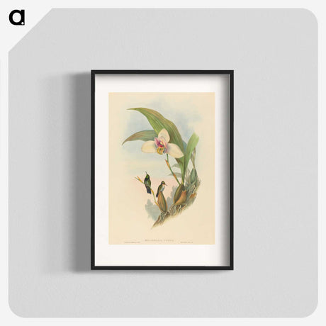 2-73_John-Gould_blk
